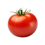 Tomato taille mini