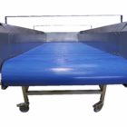 tapis convoyeur a bande fruit legume
