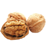 noix-nut-agroalimentaire