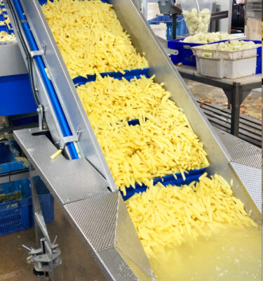 BAC DE TREMPAGE FRITES