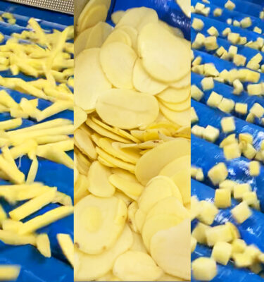 Process de production de frites fraîches – capacité 250 kg/h