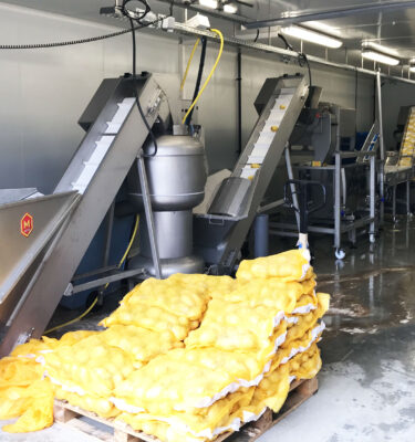 Process de production de frites fraîches – capacité 500 kg à 1 tonne/h