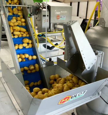Process de production de frites fraîches – capacité 2 tonnes/h